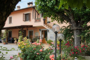 Agriturismo L'Ulivo in Fiore Spoleto